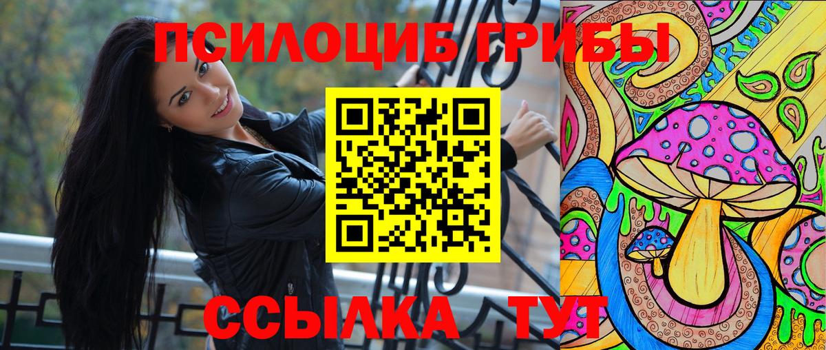 даркнет сайт  Вход с VPN  Похвистнево  Псилоцибиновые грибы прущие грибы  Галлюциногенные грибы Psilocybe 